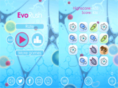 Evo Rush preview