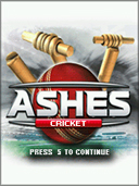 Ashes Cricket 2010