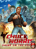 Chuck Norris Bring on the Pain