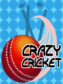 Crazy Cricket preview