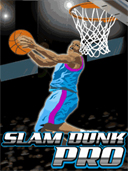 Slam Dunk Pro preview