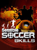 Sensible Soccer Skills