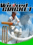 Wicked Cricket preview